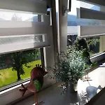 Four Season Irene אייזנרץ