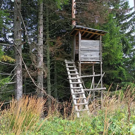 Four Season Irene * Айзенэрц