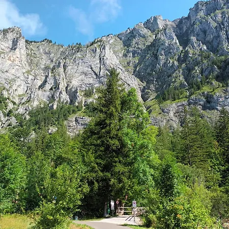 Апартаменты Four Season Irene Айзенэрц