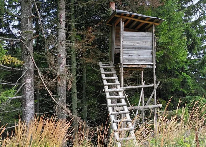 Four Season Irene * Eisenerz