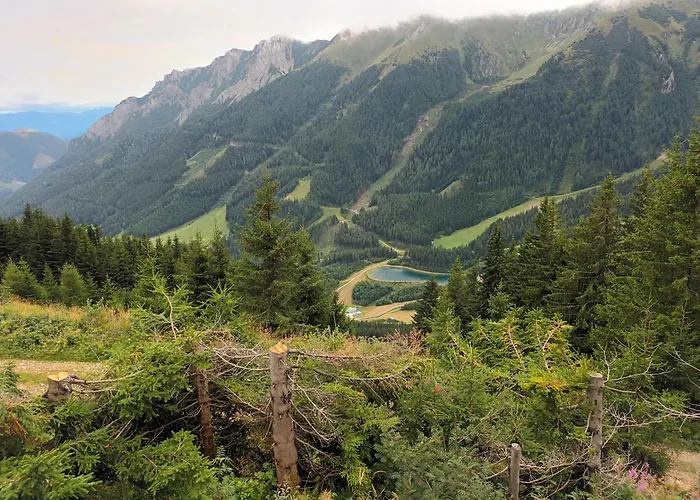 Four Season Irene * Айзенэрц