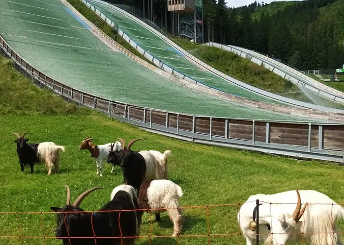 Four Season Irene Eisenerz