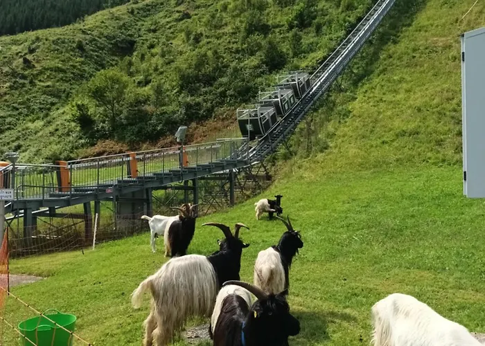 Apartman Four Season Irene *